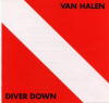 Diver Down